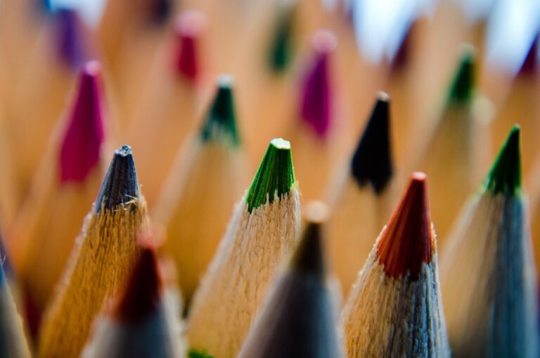 The Impact of Socioeconomic Factors on College Access and Success