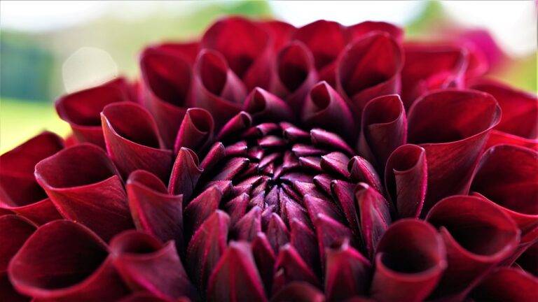 The Rise of Eco-Friendly Packaging: Reducing Waste in the Consumer Goods Industry