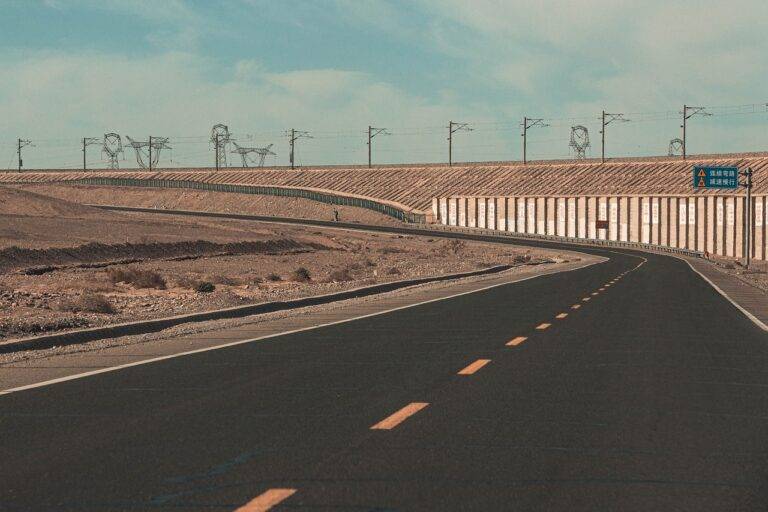 Traveling with a Purpose: Conservation Expeditions and Eco-Tourism Adventures