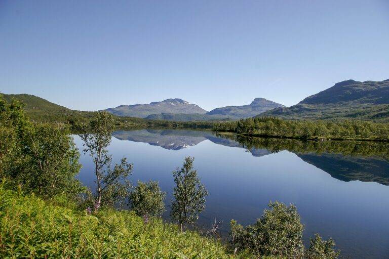 The Evolution of Glamping: Luxury Camping Experiences in Natural Settings