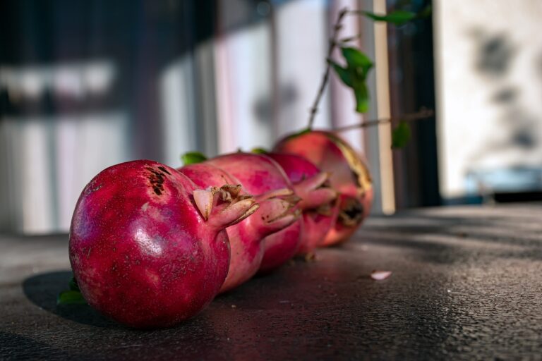 The Impact of Environmental Factors on Mental Health